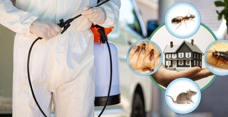 Gülbahçe Böcek İlaçlama