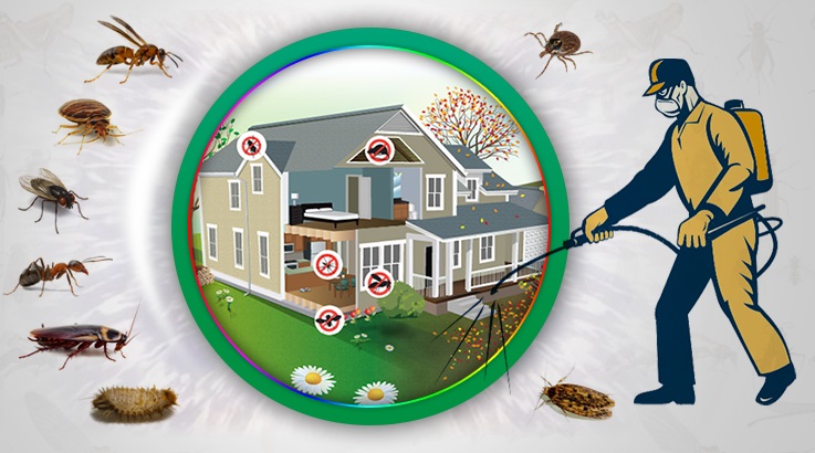 Gülbahçe Böcek İlaçlama