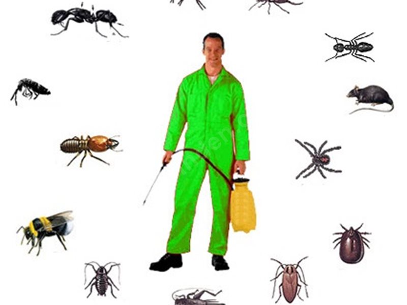 Gülbahçe Böcek İlaçlama